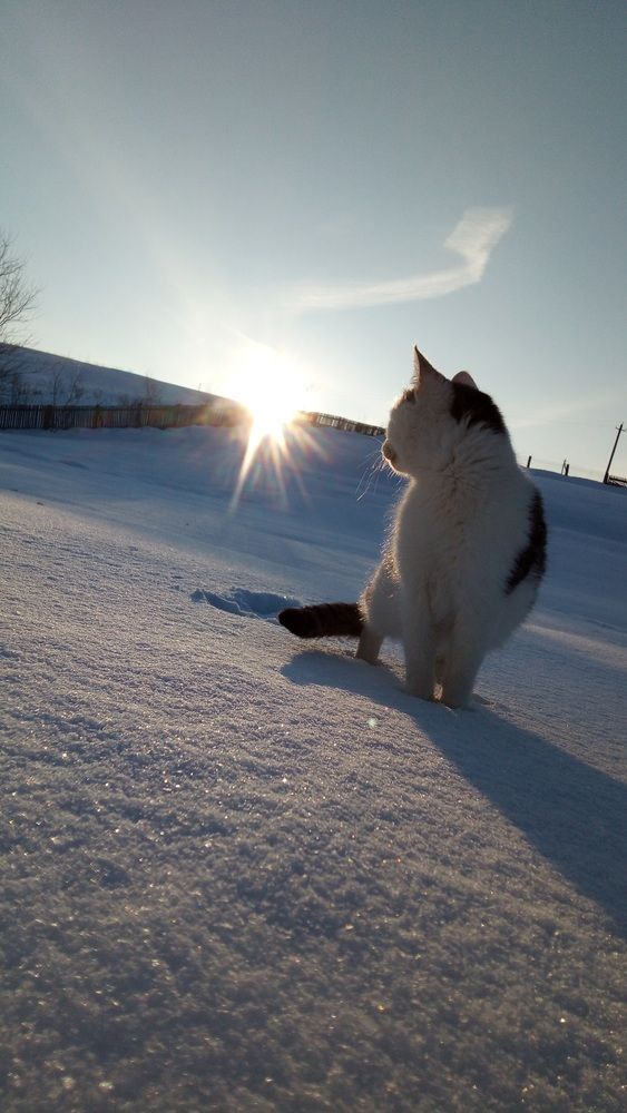 Photograph by Polina