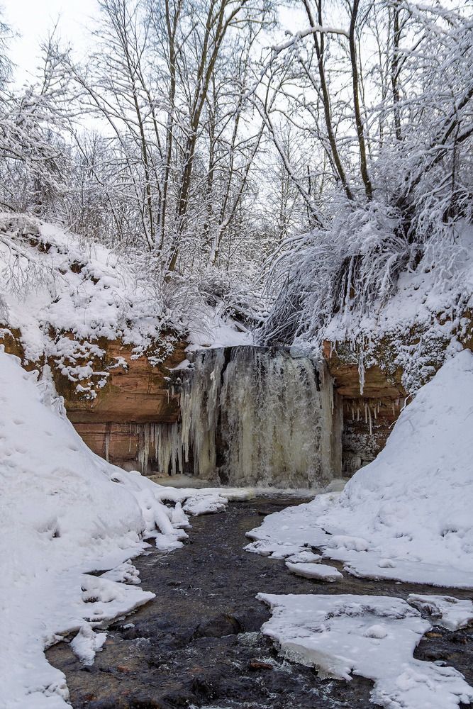 Photograph by Светлана Ващенко