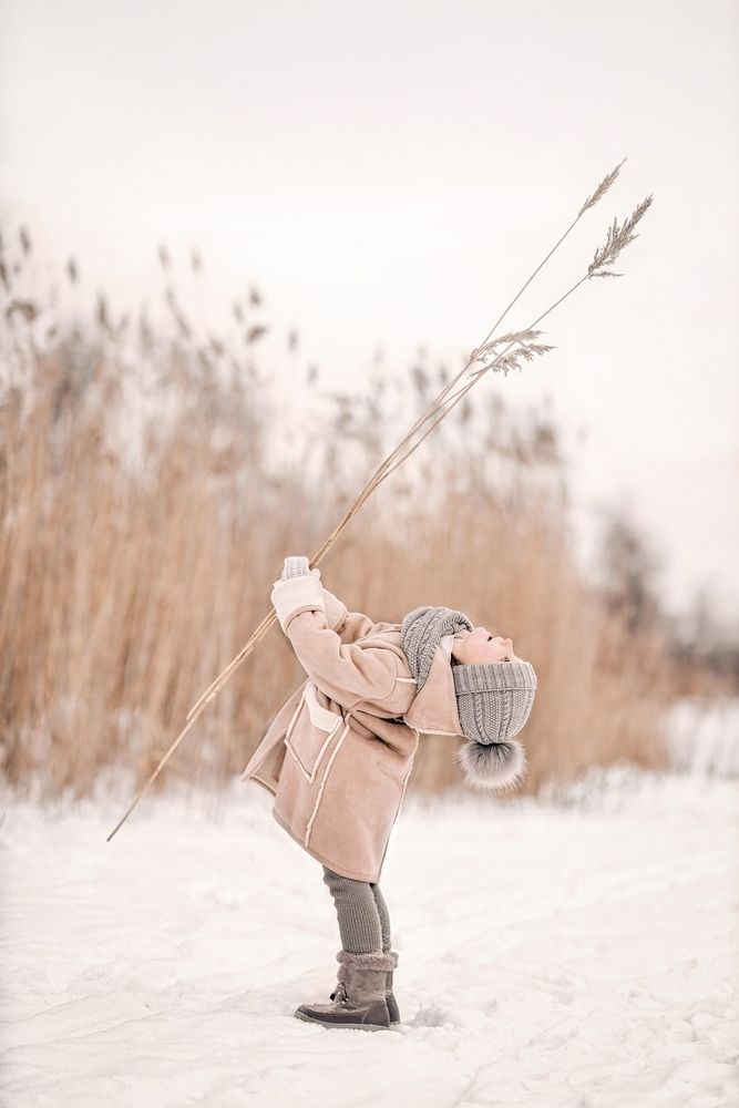 Фотография автора Ирина Толстых