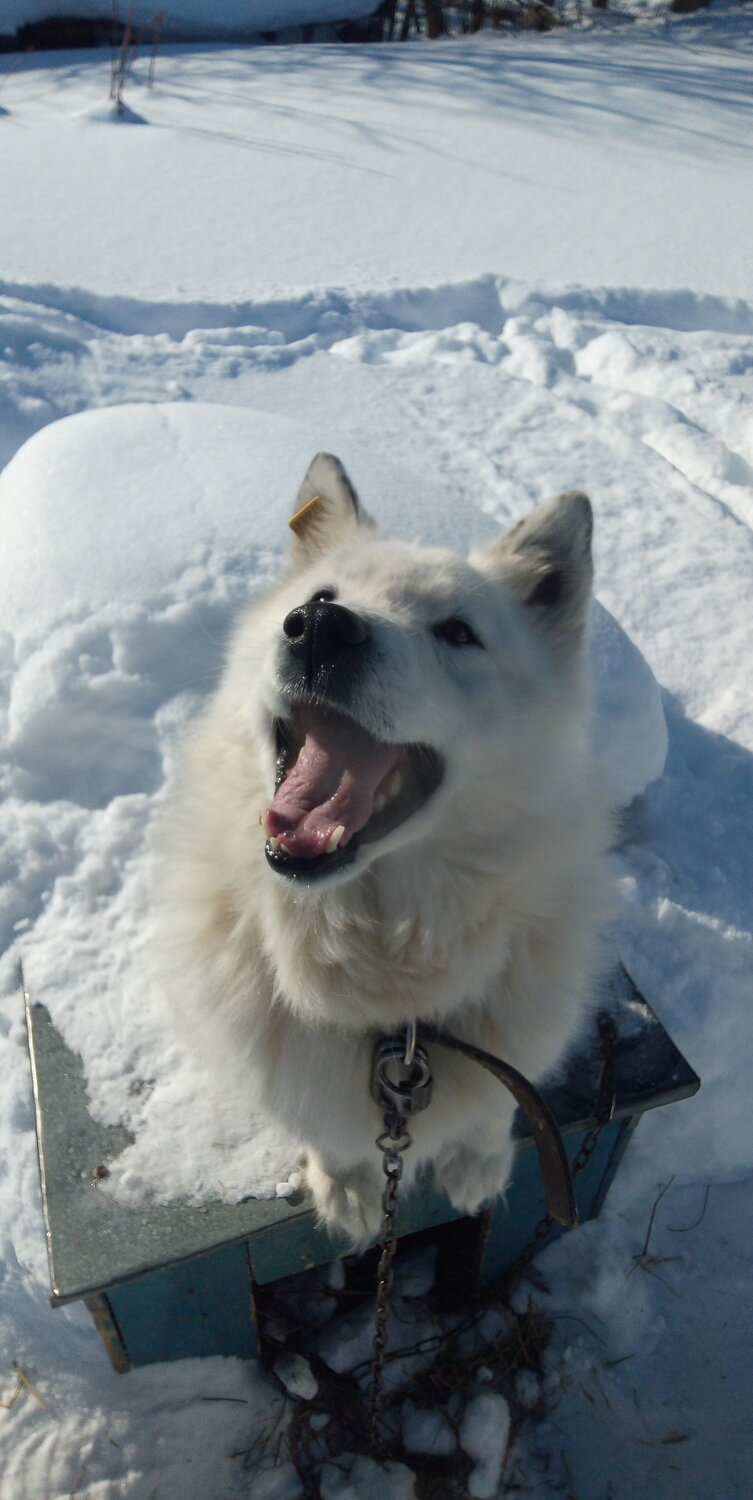 Photo #13226571