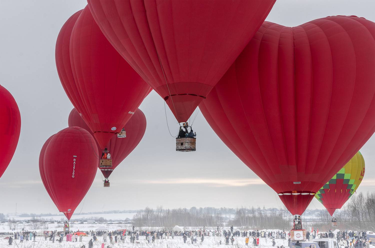 Фотография #13226587