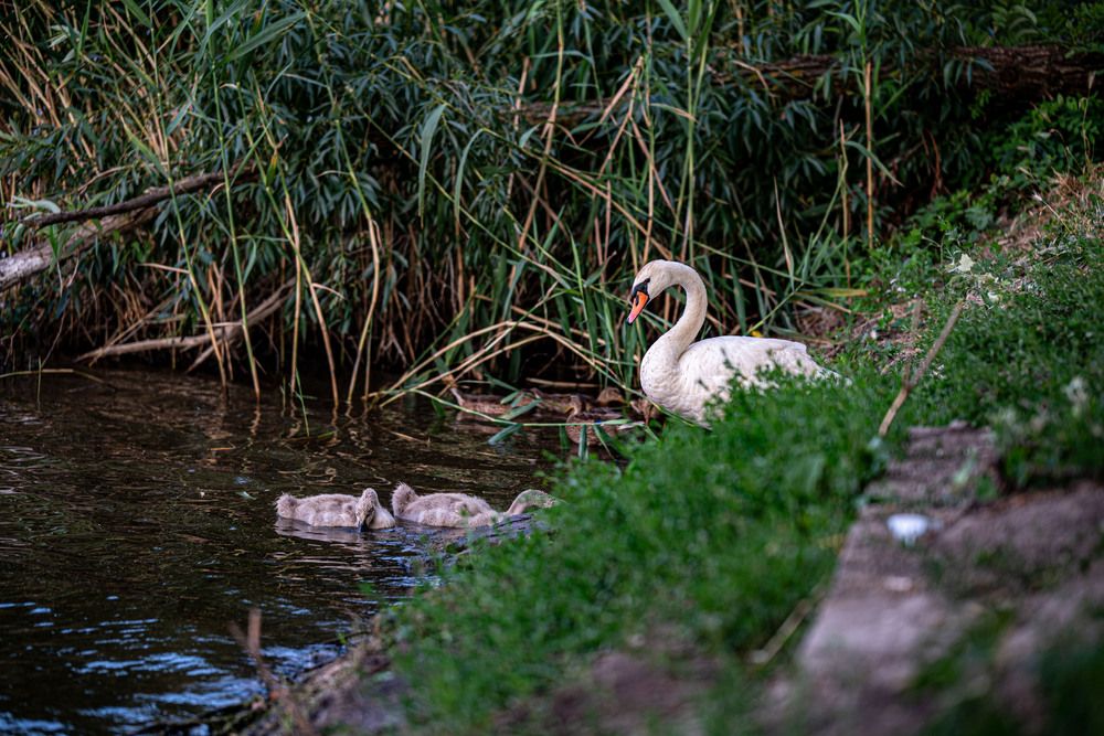 Photograph by Крупченко Роман