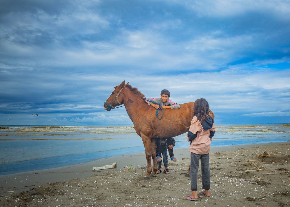 Photograph by seyed mostafa yousefi