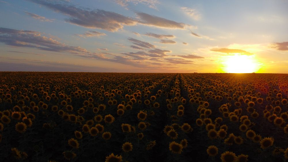 Photograph by Гиоев Руслан