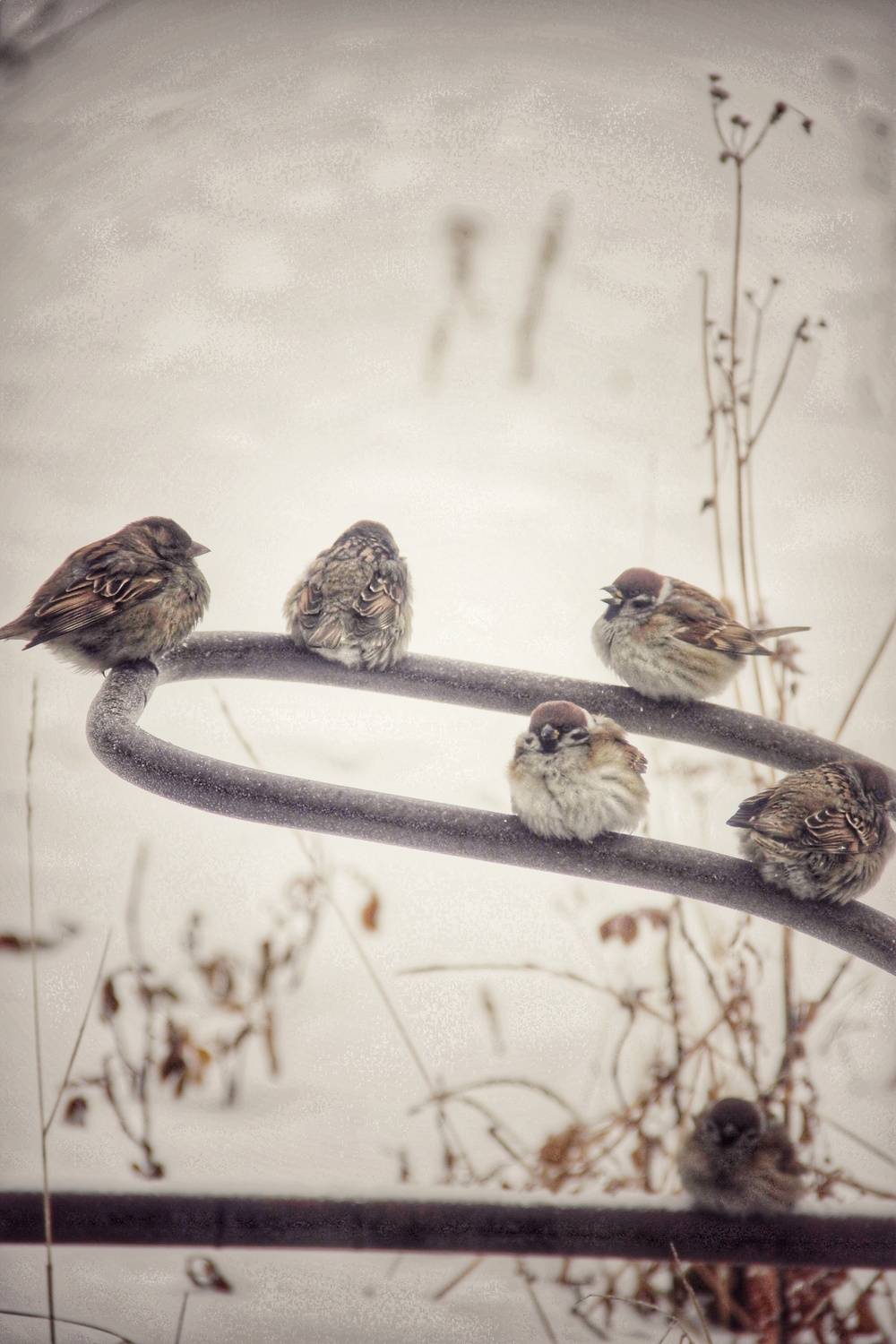 Photo #13226688