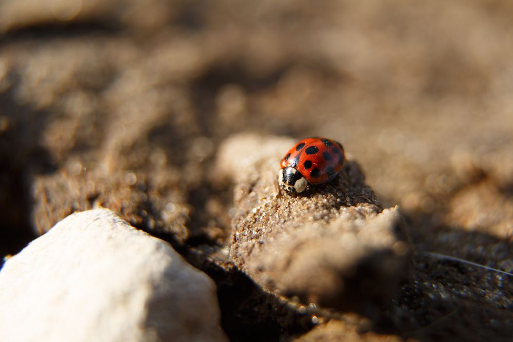 Photograph by Дарья Улюсова