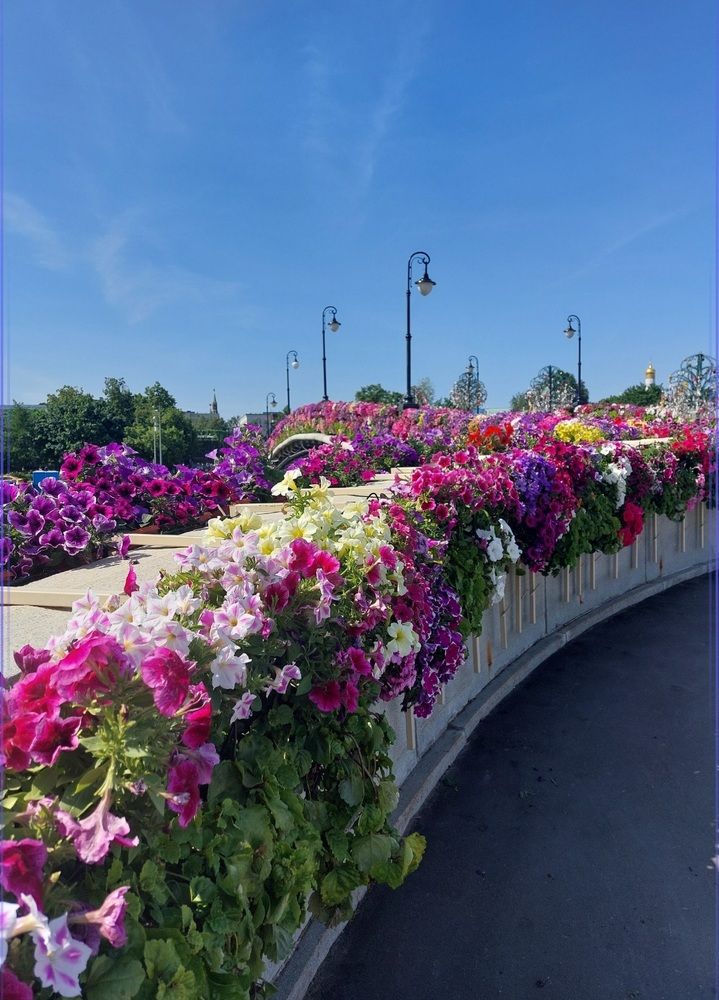 Photograph by Юлия Шумейко