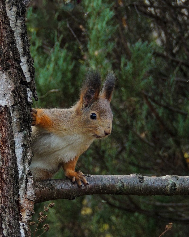 Photograph by Наталья Балабанова