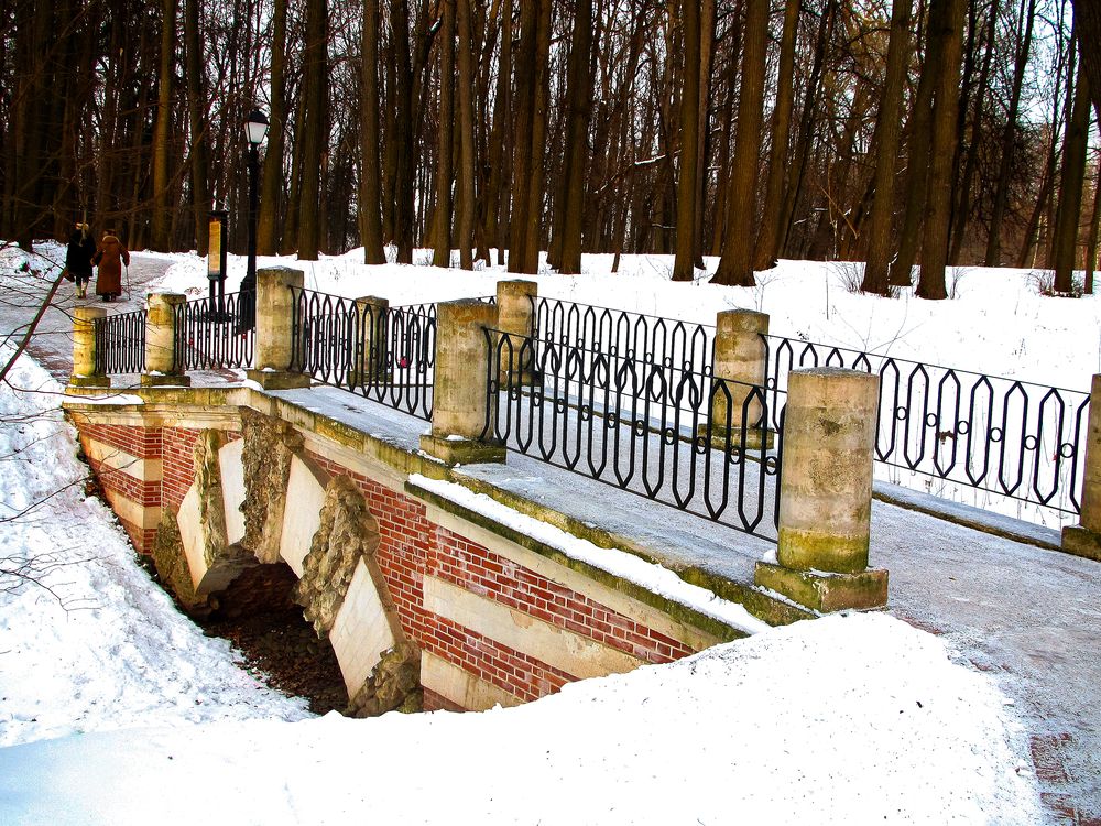 Фотография автора Елена Чулюнина