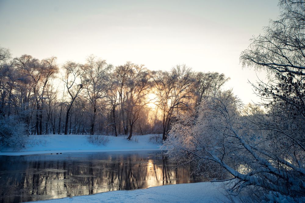 Фотография автора Маргарита Матвеенкова
