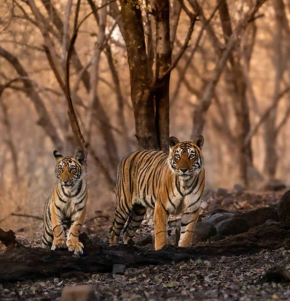 Photograph by ARCHIT RATHI