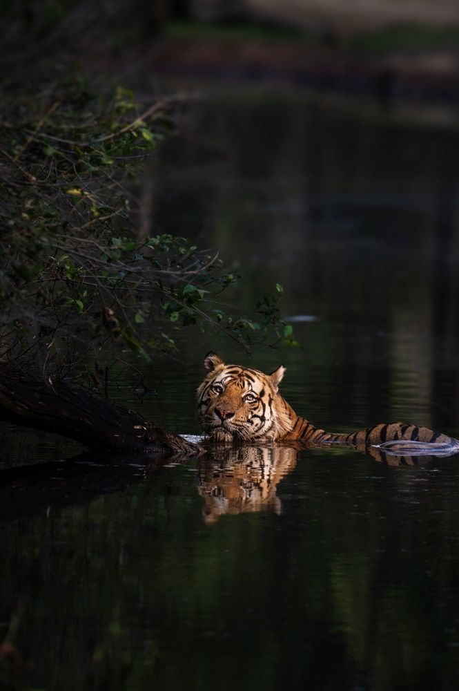 Photograph by ARCHIT RATHI