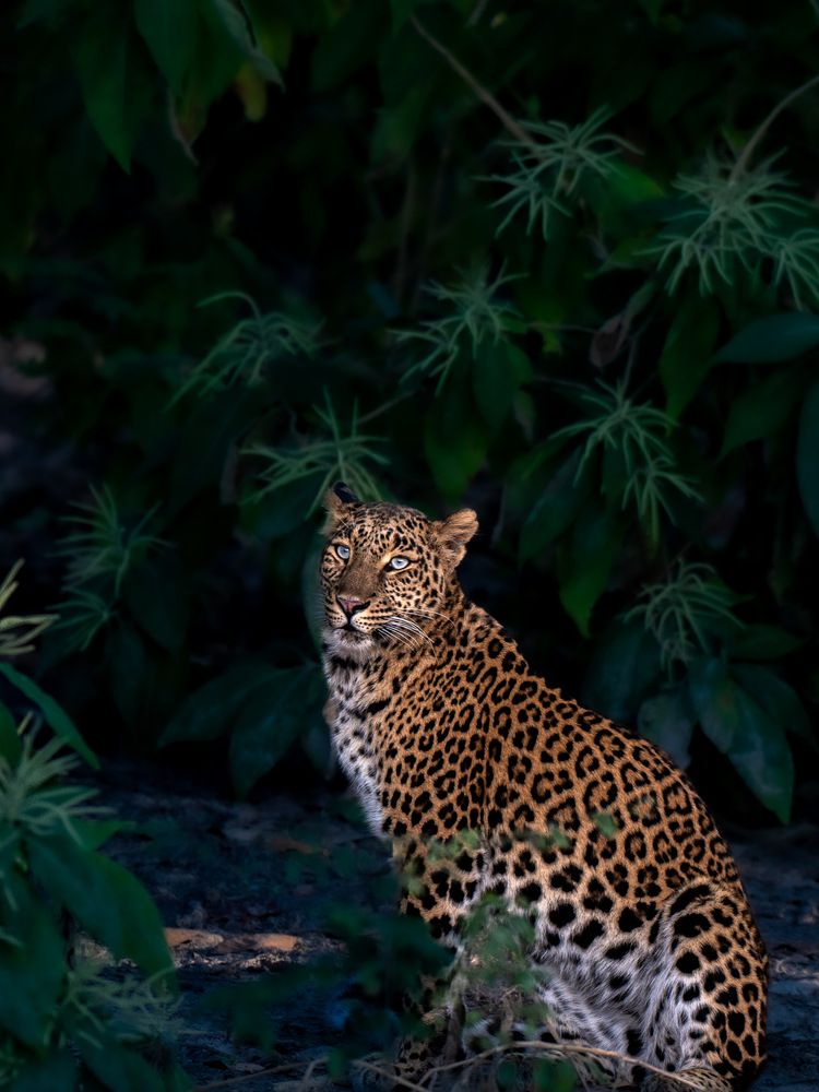 Photograph by ARCHIT RATHI