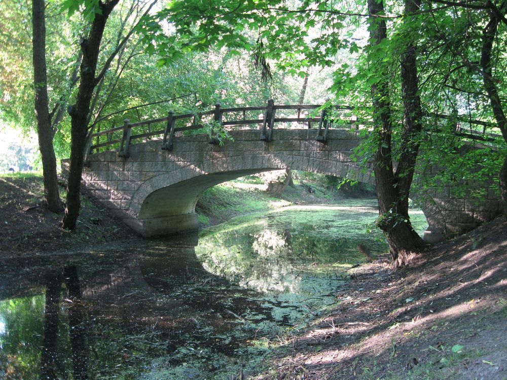 Фотография автора Виктор Полуэктов