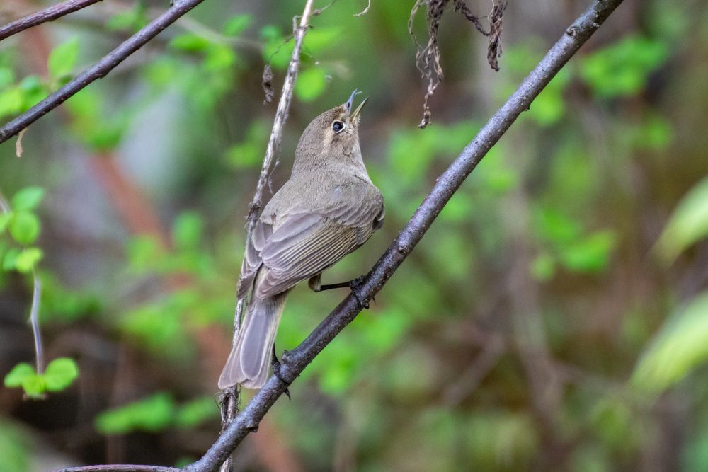 Фотография автора Иван Николаевич