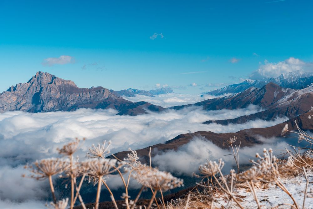 Фотография автора Олег Кожухов