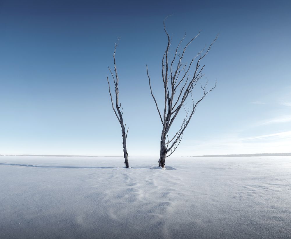 Фотография автора Sergey Shilling