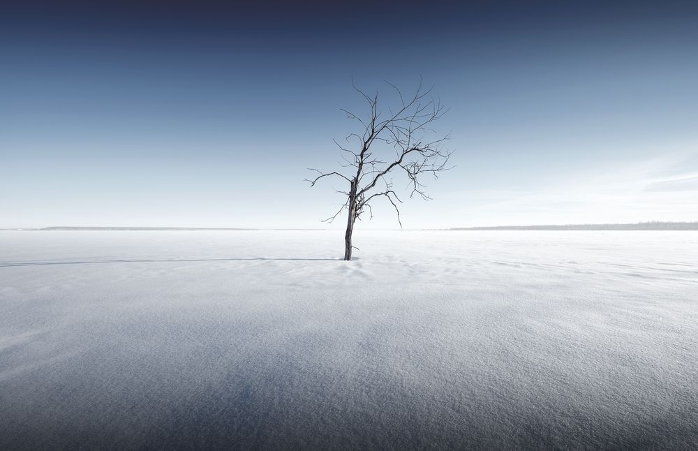 Фотография автора Sergey Shilling