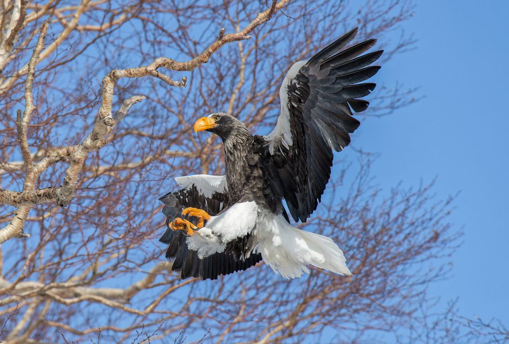 Фотография автора Сергей Наливайко