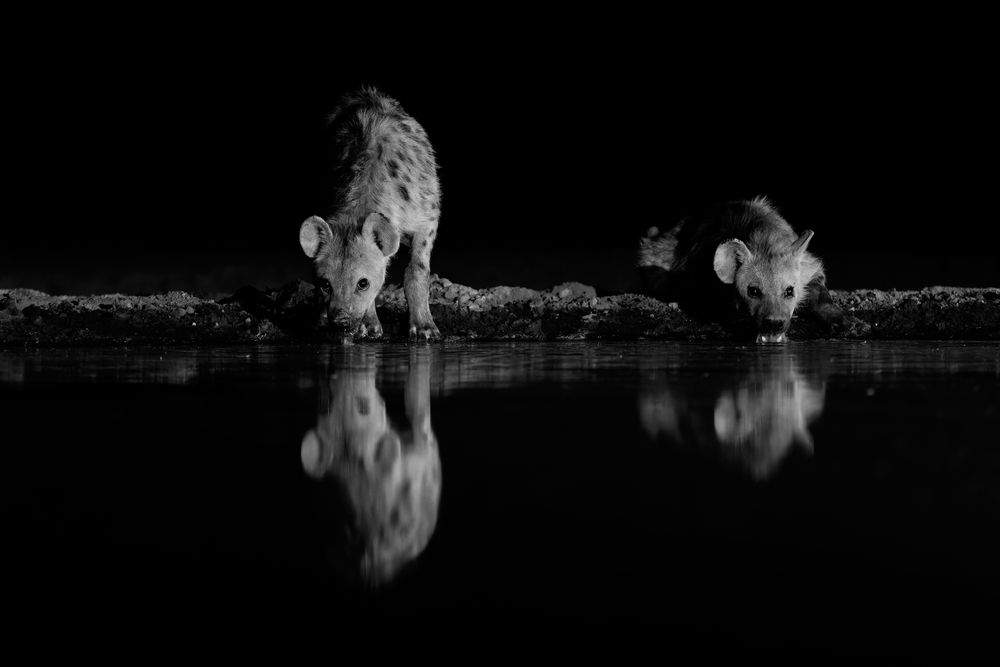 Фотография автора Boris Konovalov