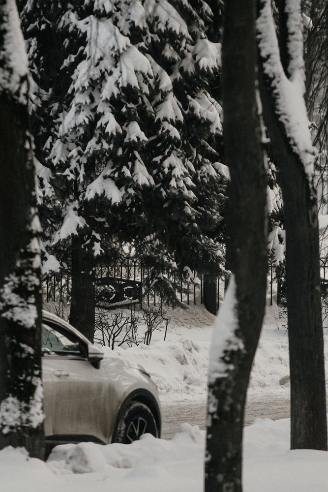 Photograph by Анастасия Псарёва