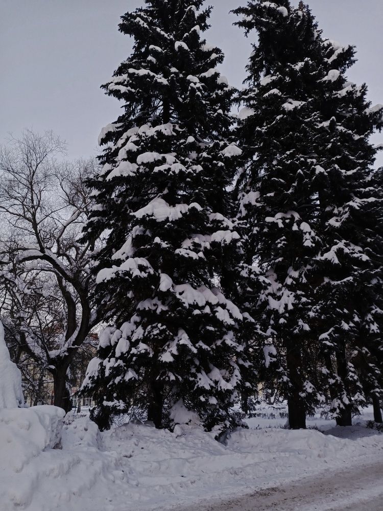 Photograph by Анастасия Псарёва