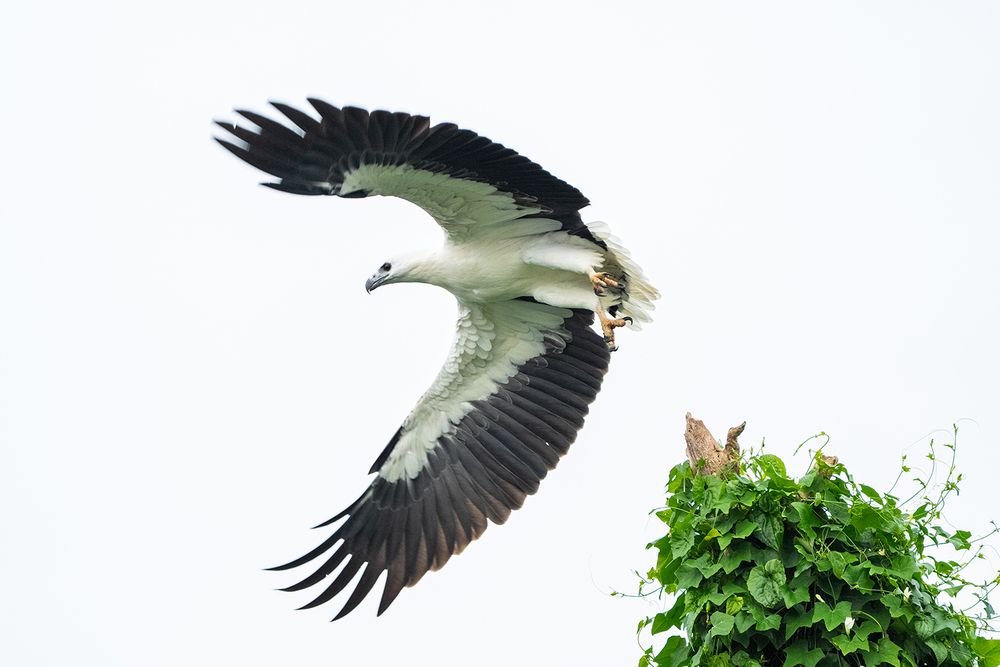 Фотография автора Laddu Sasindu Pramuditha De Silva