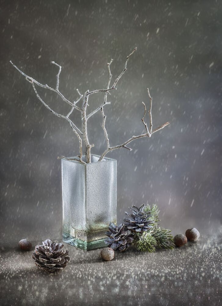 Photograph by Рубинова Елена