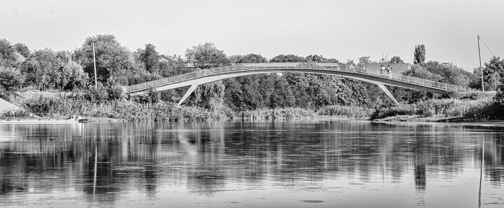 Фотография автора Dragan Leles