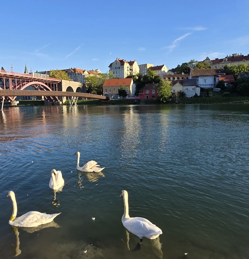 Фотография автора Yulia Rotbach