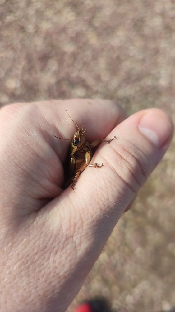 Photograph by Aamoda Kitchen