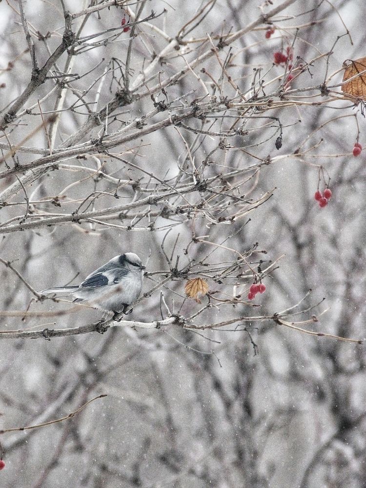Photograph by Олеся