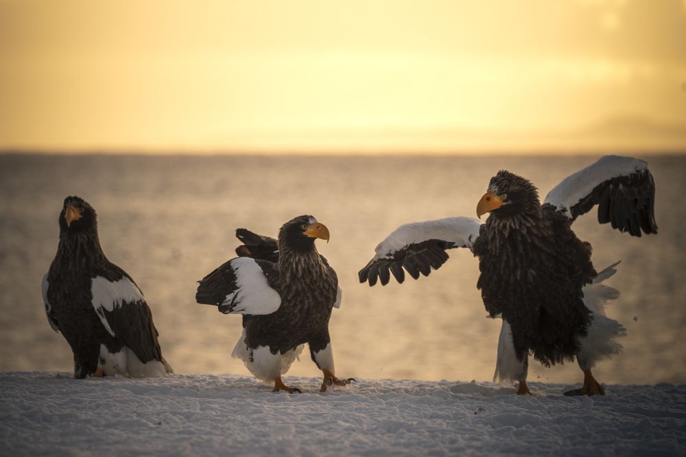 Photograph by Eduardo Fuster Salamero