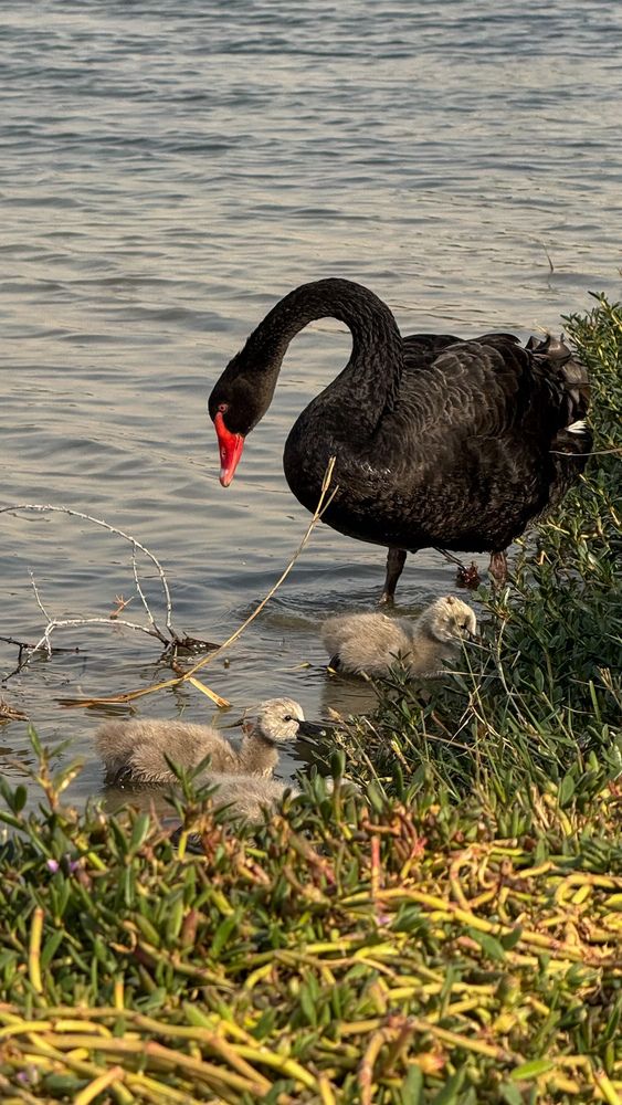 Фотография автора Ol`ga Lukyanova