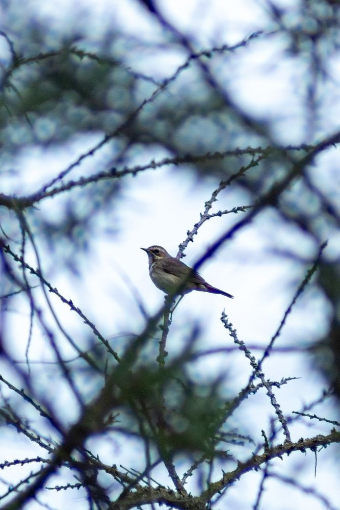 Photograph by Aamoda Kitchen