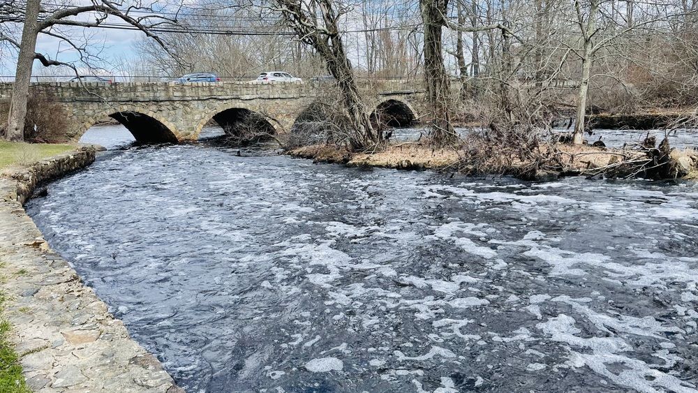 Photograph by Olga Andriuc