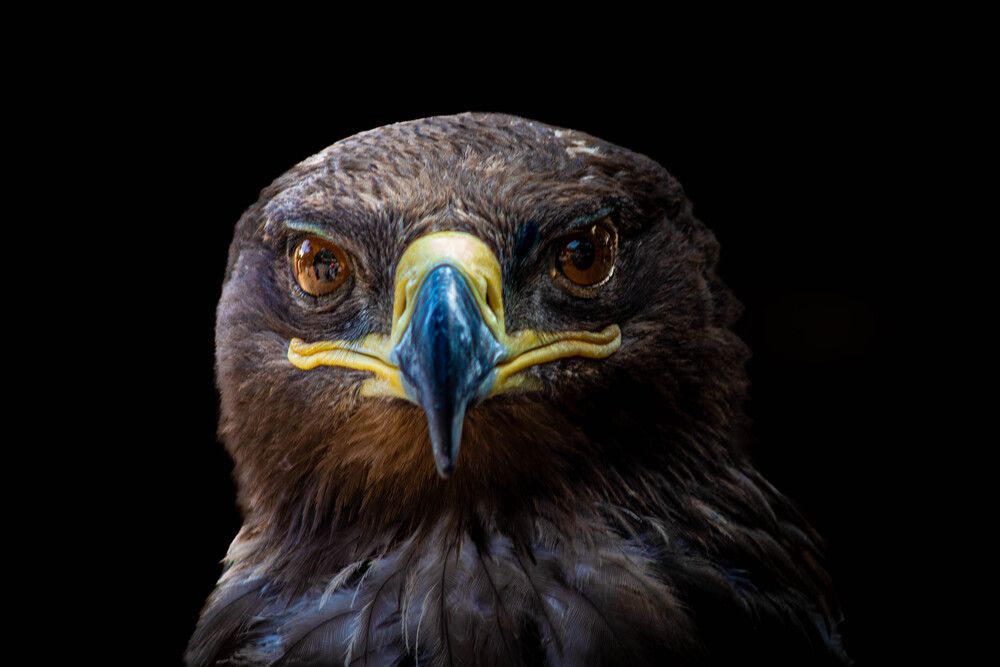 Photograph by Ayman Fawzy