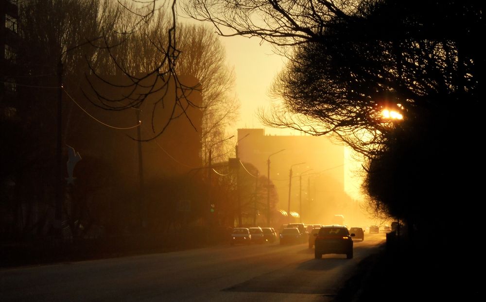 Photograph by Elena Stasuk
