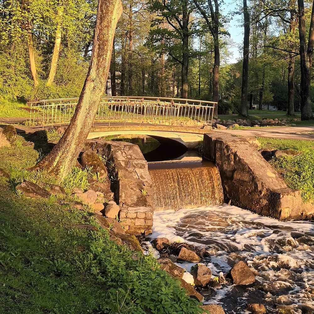 Фотография автора Maks Lanister