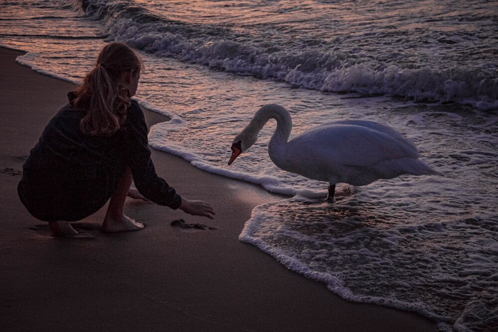 Photograph by Tatiana Potapenko