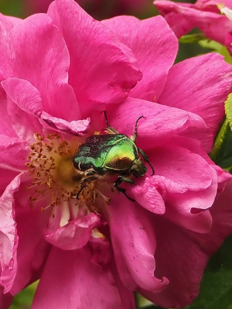 Photograph by Елена Синицына