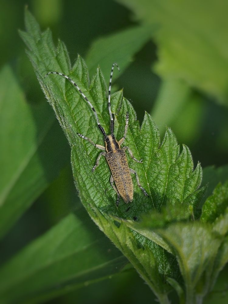 Photograph by Елена Синицына