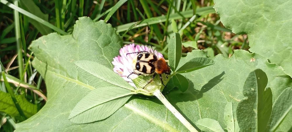 Photograph by André Photographe