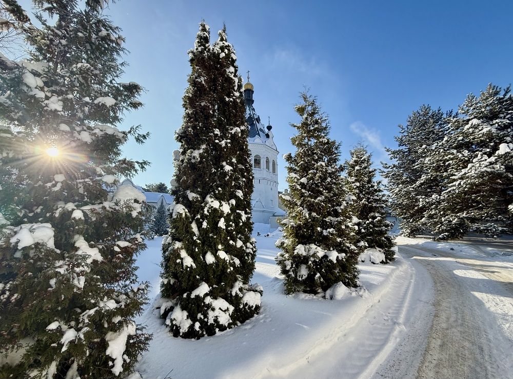 Фотография автора Олег Травин
