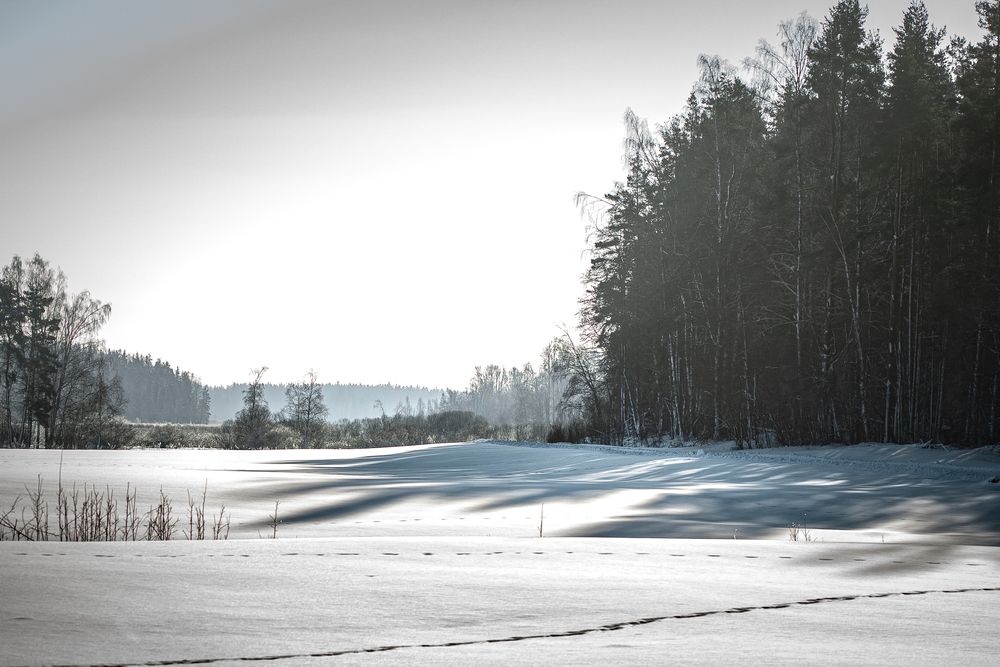 Photograph by Maria Chistova (Pasternak)