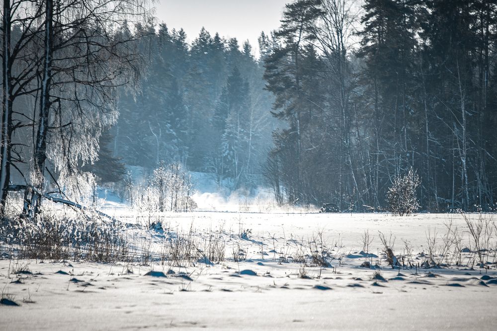 Photograph by Maria Chistova (Pasternak)