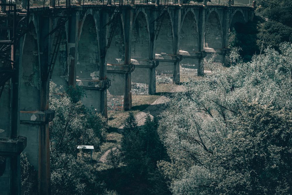 Фотография автора Дмитрий Новиков