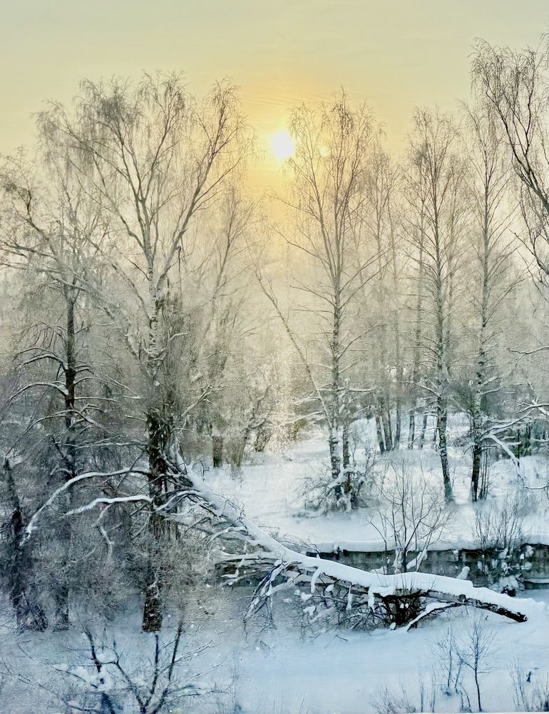 Фотография автора Олег Травин