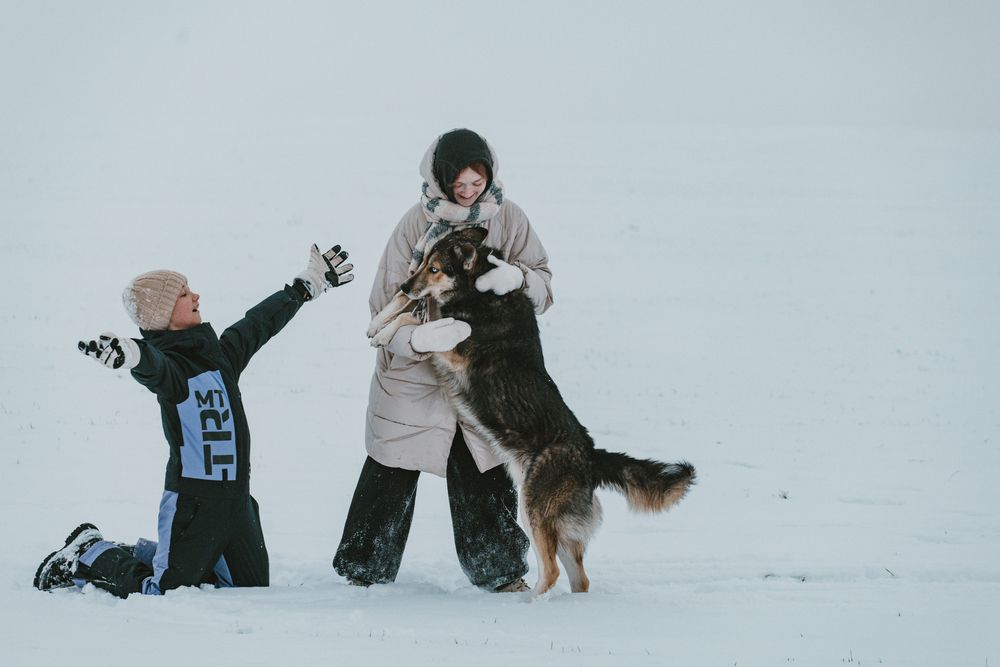 Фотография автора Дмитрий Новиков