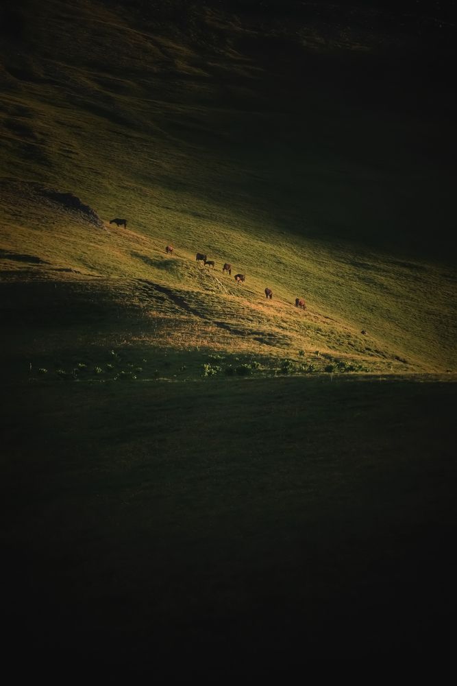 Photograph by Владимир Кульбит